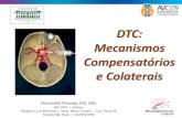 DTC: Mecanismos Compensatórios e Colateraisineuro.com.br › wp-content › uploads › DTC-Mecanismos... · Valdueza et al. In: Neurosonology and Neuroimaging of Stroke, 2nd ed.,