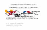 UNIVERSIDAD MIGUEL HERNÁNDEZ FACULTAD DE CIENCIAS …dspace.umh.es/bitstream/11000/4353/1/TFM Hernández Puig... · 2017-11-16 · La estructura del diario estaba dividida en cinco