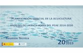 PLANIFICACIÓN ESPACIAL DE LA ACUICULTURA y ANÁLISIS …...ALCANCE DE LA PROPUESTA (contenidos incorporados) Esta propuesta de planificación espacial de la acuicultura en mar en