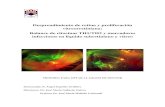 Desprendimiento de retina y proliferación vitreorretiniana ...AMI: Agujero macular idiopático AV: Agudeza visual CD: Grupos de diferenciación leucocitaria según moléculas de superficie