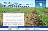 Boletín ENERO-2014 07 · Según el informe mensual de la FAO, de fecha 2 de enero del año 2014 , de datos obtenidos en las comunidades, el precio promedio nacional del maíz blanco