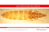 Guía chinches de cama - Zaragoza › contenidos › sanidad › chinches-cama.pdf · se ven como hinchazones de color rojizo, similares a los que producen las picaduras de las pulgas,