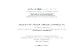 UNIVERSIDAD CATÓLICA ANDRÉS BELLO VICERRECTORADO ...biblioteca2.ucab.edu.ve/anexos/biblioteca/marc/texto/AAS8580.pdf · eficiencia de la banca comercial y universal en venezuela