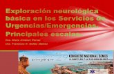 Dra. Marta Jiménez Parras Dra. Francisca R. Núñez Mateos · Pares craneales Función motora Función sensitiva Coordinación Signos meningeos EXPLORACIÓN NEUROLOGICA . Funciones