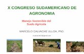 X CONGRESO SUDAMERICANO DE AGRONOMIA · La necesidad de producir más alimentos hace que se cultiven los suelos de manera muy ... degradación del suelo y la pérdida de fertilidad