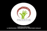 CORPORACIÓN PARA LA PROTECCIÓN Y DESARROLLO DE … › ... › presentacioncorp.compressed.pdf · La Corporación PRODETER, tendrá como objetivo promover acciones para la protección