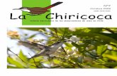 ISSN 0718 476X La Chiricoca › wp-content › uploads › 2018 › 04 › chiricoca... · 2018-04-09 · En el Lago Chungará reali-zamos el conteo máximo, con más de 100 ej. Pato