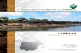 ESPACIOS NATURALES CORCHEROS - RETECORK€¦ · Oficina del Parque Natural de Doñana El Acebuche 21760 Matalascañas T. 959 439 627 en.donana.cma@juntadeandalucia.es Foto: Parque