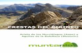CRESTAS DEL PIRINEO€¦ · CICMA: 2608 +34 629 379 894  escainfo@muntania.com Crestas del Pirineo. Arista delos Murciélagos (Aspe) y Agullas de la Balellaza (Bisaurín)-2020 1