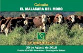 32º REMATE ANUAL de la CABAÑA EL MALACARA DEL MORO - … · 2019-07-24 · Julio 2018 Amigo Criador: Nos es sumamente grato invitarlo al 32º REMATE ANUAL de la CABAÑA EL MALACARA