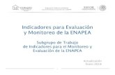 Indicadores para Evaluación y Monitoreo de la …...Subgrupo de Trabajo de Indicadores para el Monitoreo y Evaluación de la ENAPEA 2 Antecedentes • La evaluación de cualquier