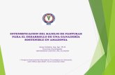 Presentación de PowerPoint › wp-content › ... · 2018-12-04 · Barreras y desafíos para la adopción de tecnología en pasturas en Amazonía . La descapitalización rural no