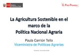Paula Carrión Tello Viceministra de Políticas Agrarias€¦ · •Ejemplo: llevar adelante la reconversión productiva del cultivo de arroz a 1 Km. a la redonda de los centros urbanos,