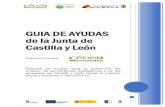 GUIA DE AYUDAS de la Junta de Castilla y León › sites › cedermerindades... · AYUDAS Y SUBVENCIONES PARA LAS ADMINISTRACIONES PÚBLICAS 22. Subvención, cofinanciada por el Fondo