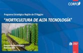 Presentación de PowerPoint · 2017-07-31 · Volumen de producción: La producción mundial de hortalizas fue de 950 mill. Ton. (2013), donde Chile aportó con 2,4 mill. en sus distintos