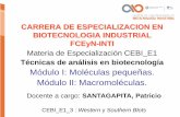 CARRERA DE ESPECIALIZACION EN BIOTECNOLOGIA …biotecnologiaindustrial.fcen.uba.ar/wp-content/...La separación de las proteínas de la muestra puede ser por su punto isoeléctrico