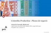 Colombia Productiva - Planes de negocioasocolcanna.org/wp-content/uploads/2020/01/Iniciativas...Fuente: Taller de priorización de iniciativas Bogotá –Ciudades por parte de los