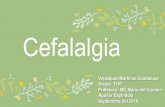 Cefalalgia - WordPress.comarteria cerebral media. • Tumor o absceso cerebral Afectación en las estructuras intracraneanas situadas en las fosas anterior y media. 17 Propagación