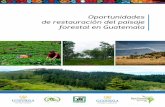 Oportunidades de restauración del paisaje forestal en ... · de diversos sectores sociales para llevar los beneficios de la restauración de ecosistemas y paisajes a las comunidades.