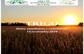 TRIGO · TRIGO: Datos, estadísticas y comentarios Octubre-2019 Volumen 1-N° 4 2 Resumen del mes Ha finalizado la cosecha de trigo 2019, en Paraguay con buenos resultados en rendimiento
