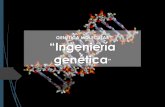 GENÉTICA MOLECULAR “Ingeniería · La ingeniería genética, comprende un conjunto de técnicas que hacen posible el aislamiento, estudio, modificación y transferencia de genes