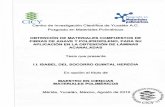Centro de Investigación Científica de Yucatán A.C. OBTENCIÓN DE MATERIALES … · 2018-12-11 · materiales compuestos de PP/fibra sin tratamiento (a, e, e) y con tratamiento