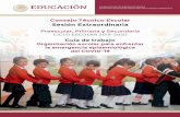 Consejo Técnico Escolar Sesión Extraordinaria › 2020 › 03 › 1...Sesión Extraordinaria de los Consejos Técnicos Escolares (CTE) Organización escolar para enfrentar la emergencia