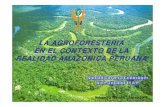 LA AGROFORESTERIA EN EL CONTEXTO DE LA REALIDAD …tctp.cpatu.embrapa.br/edicoes-anteriores/i-curso/experiencias... · LA AGROFORESTERIA EN EL CONTEXTO DE LA REALIDAD AMAZONICA PERUANA