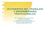 ACCIDENTES DEL TRABAJOS Y ENFERMEDADES …medianetworks.cl/forense2004/RITZ02dic.pdf7.- Servicios de Consultoria y Análisis 8.- Investigación 9.- Sistemas de Registro de Accidentes