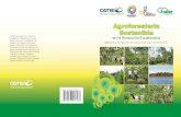 Agroforestería Sostenible - CATIErepositorio.bibliotecaorton.catie.ac.cr/bitstream/... · 2. Objetivo general Fortalecer, mediante la investigación y capacitación aplicada, los