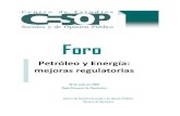 Petróleo y Energía: mejoras regulatorias · En la participación del Dr. Jaime Cárdenas, investigador de la UNAM, refirió que desde 2008 PEMEX cuenta con características de una