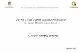 CBT No. 2 Isaac Guzmán Valdivia, Chimalhuacáncbt2chimalhuacan.edu.mx/tigre/cbt2inf/subdir/plan... · Plan Sectorial de Educación 2013-2018 SEP. Acuerdo Secretarial 447: ompetencias