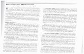 1991 - Bocairente misionero - Aculliber › val › documentos › img_BBDD... · Bocairente Misionero n 1.992 se celebra el quinto centenario del cornien- zo de la evangelización