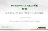 INFORME DE GESTIÓN 2018 - antioquia.gov.co › images › rendicion-de... · INFORME DE GESTIÓN 2018 SECRETARÍA DEL MEDIO AMBIENTE ... Distrito Regional de Manejo Integrado (DRMI)