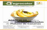 AGROCOLOR certifica más de 306.000 toneladas de Plátano de ... · comercialización de los aceites de oliva virgen extra, incrementar la garantía de calidad al consumidor y ...