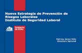 Nueva Estrategia de Prevención de Riesgos Laborales ...€¦ · Definición de una nueva Estrategia de Prevención de Riesgos Laborales ¿Qué caracteriza a nuestra cartera de empresas?
