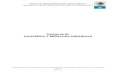 FONDO PYME - Categoría III: PEQUEÑAS Y MEDIANAS EMPRESAS › fondopyme › 2012 › pdfs › mp2012_anexo… · 2012-03-10 · con la cobertura de estrategias y objetivos de los