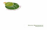 Zona Bananera Magdalena - Agronetbibliotecadigital.agronet.gov.co › bitstream › 11438 › 8061 › 1... · 2016-01-08 · Zona Bananera, departamento de Magdalena, adelantado