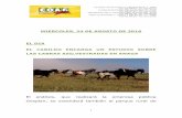 MIERCOLES, 24 DE AGOSTO DE 2016 EL DIA EL CABILDO …coagcanarias.com/wp-content/uploads/2016/08/Noticias-24-08-16.pdf · Las Palmas de Gran Canaria: C/. Miguel Sarmiento, 2 – 35004
