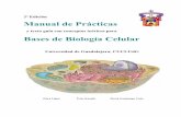 2ª Edición Manual de Prácticasradio.cuci.udg.mx/bch/pdf/PR_CellBiol_2.3-s.pdfcorrectas de desechar los residuos biológicos y e) un anexo donde se describen cantidades y procedimientos