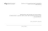 MERCANTIL GERENCIA DE INVESTIGACIÓN ECONÓMICA BANCO …ance.msinfo.info/bases/biblo/texto/libros/ZL.2003.d.1.pdf · evidencias a partir del caso del sistema bancario venezolano