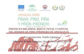 Presentación: Pablo Campos Autores ... - Junta de Andalucía€¦ · Materias primas intermedias (MPI) Servicios Intermedios (SSI) 1.2 Producción final (PF) Venta de producción