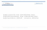 Encuesta de opinión del profesional en urgencias (2015) · ENCUESTA(DE(OPINIÓN(DEL(PROFESIONAL(EN(URGENCIAS(((((diciembre(2014(J(enero(2015)(3(La(consistencia(interna(de(cada(una(de(lasdimensionesen(la(versión(en(español