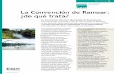 La Convención de Ramsar: ¿de qué trata? · La Convención sobre los Humedales de Importancia Internacional, conocida como la Convención de Ramsar, es un acuerdo internacional