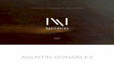 AGUSTÍN GONZÁLEZ - Bastidoresbastidores.net/wp-content/uploads/2017/07/AGUSTIN_GONZALEZ.pdf · práctica de la pintura, de su entorno en distintos niveles y capas: conceptual, representacional,