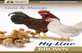 Guía de Manejo - Hy-Line International...Consumo de Alimento por Docena de Huevos, 22–75 Semanas 1.48 kg 1.68 kg Los Datos de los Resúmenes de Rendimiento se basan en los resultados