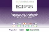 Reporte de Incidencia Delictiva en Chiapaseste reporte comprende del 1 de abril al 30 de junio 2014, y mismos periodos del 2015 y 2016 con información desglosada en forma trimestral.