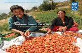 Informe Anual 2011/2012 - UNDP Inf Anual...Pnud inForme anual 2011/2012 1 El PNUD EN aCCIóN el año 2011 será recordado por los levantamientos y transiciones que tuvieron lugar en