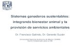 Sistemas ganaderos sustentables: integrando …...Sistemas ganaderos sustentables: integrando bienestar animal y la provisión de servicios ambientales Dr. Francisco Galindo, Dr. Gerardo