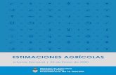 ESTIMACIONES AGRÍCOLAS - Argentina.gob.ar · ESTIMACIONES AGRÍCOLAS Informe Semanal 23 de Enero de 2020 PRECIPITACIONES Se registraron abundantes precipitaciones en el NEA, NOA